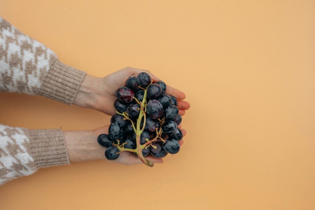 Close-up of hands holding a fresh bunch of ripe grapes against a peach background.